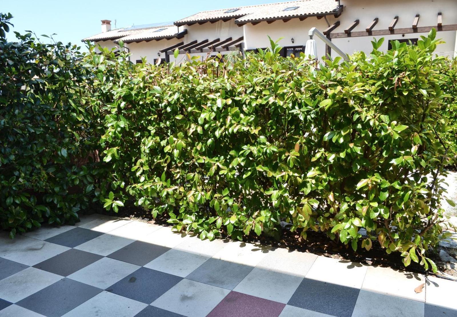 Le Case Del Carmine Con Giardino E Parcheggio A טרופאה מראה חיצוני תמונה